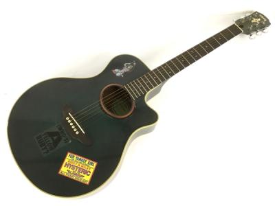 YAMAHA APX-5A エレアコ アコースティックギター ソフトケース付き ヤマハ