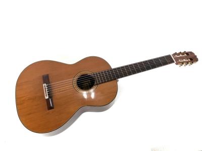 RYOJI MATSUOKA M50 ギター