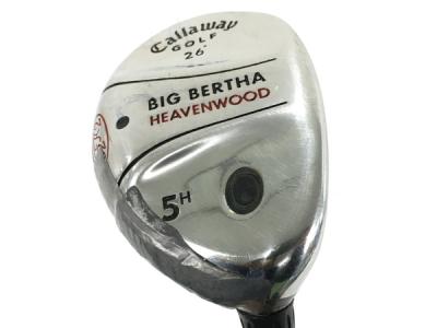 Callaway BIG BERTHA アイアン 4-10 セット FLEX R ゴルフクラブ キャディバッグ付き