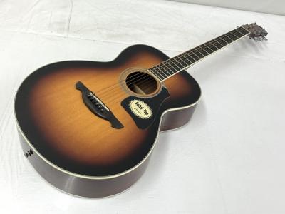 JAMES JF400 TSB(アコースティックギター)の新品/中古販売 | 1262853 