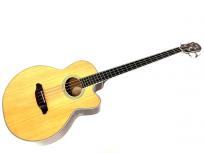 ARIA アリア FEB-600N ギター 楽器