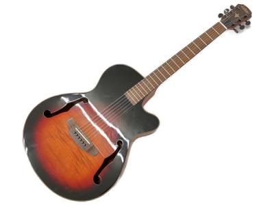 Aria FET-F2 BSG(アコースティックギター)の新品/中古販売