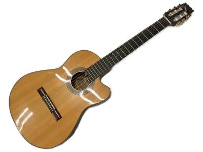 Aria Elecord CE60-14(アコースティックギター)の新品/中古販売