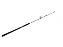 DAIWA SALTIGA R J56S-4HI スピニングロッド 釣竿 フィッシング 釣り 竿 用品 ソルティガの買取