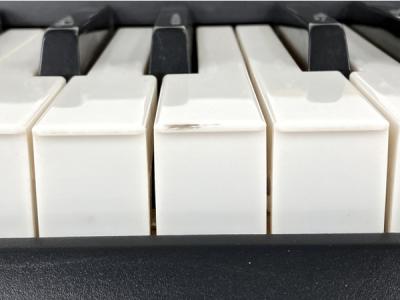 CASIO LK-113(キーボード、シンセサイザー)の新品/中古販売 CASIO LK-113(キーボード、シンセサイザー)の新品/中古販売