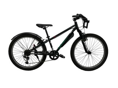 自転車 DRIDE-XX asahi 子供用（あさひ[ASAHI]ドライド XX 246-L