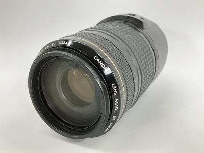 Canon EF 70-300mm 1:4-5.6 IS USM レンズ