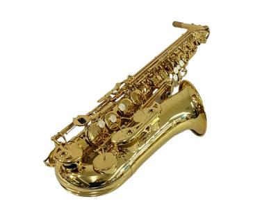 ヤマハ YAMAHA YAS-480 スタンダードシリーズ アルトサックス 管楽器 彫刻