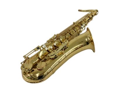 美品 ANTIGUA アンティグア アルトサックス 頻ぱん 3100