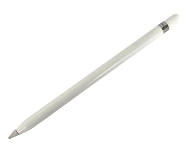 Apple Pencil iPad Pro 用 タッチペン ホワイト 本体のみ