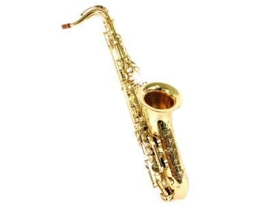 Selmer セルマー シリーズIII  W/E GL アルトサックス