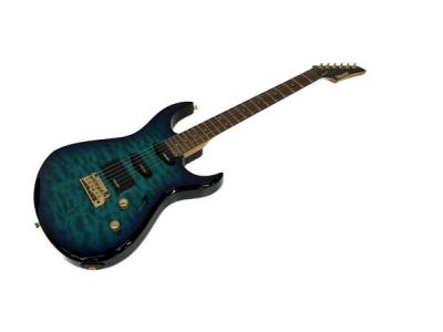 FERNANDES FR-65s サスティナー フェルナンデス