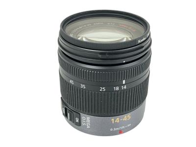 Panasonic LUMIX G VARIO 14-45 1:3.5-5.6 ASPH レンズ 写真 撮影