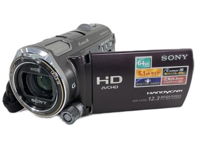 SONY ソニー Handycam HDR-CX560V デジタル ビデオ カメラ
