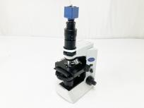 動作OLYMPUS CX41LF /U-CMAD3/U-TV1X-2/U-TLU 付き デジタル顕微鏡