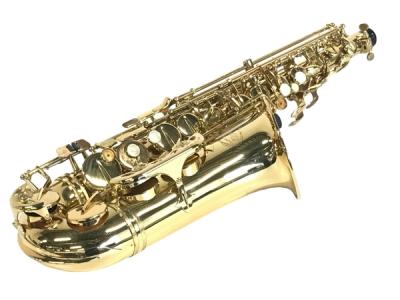 JUPITER ジュピター JAS-769-767 アルト サックス マウスピース ケース 付 本体 管楽器
