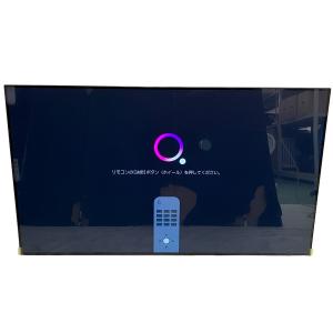 引取限定LG エレクトロニクス OLED48CXPJA 48インチ 4K 有機EL 2020年製 テレビ