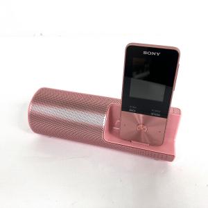SONY ソニー ウォークマン NW-S315 デジタル オーディオ プレーヤー ポータブル