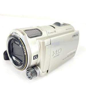 SONY ソニー Handycam HDR-CX560V デジタル ビデオ カメラ