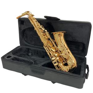 J.Michae AL-500(アルトサックス)の新品/中古販売 | 2007768 | ReRe[リリ]