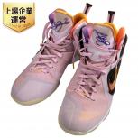 NIKE DJ3908-600 LEBRON IX 34cm リーガルピンク/マルチカラー ナイキ バスケ シューズ