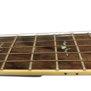 Cooder by Takamine TCP-580(アコースティックギター)の新品