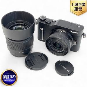 Panasonic パナソニック ミラーレス一眼 LUMIX DC-GF10 ボディ デジタルカメラ