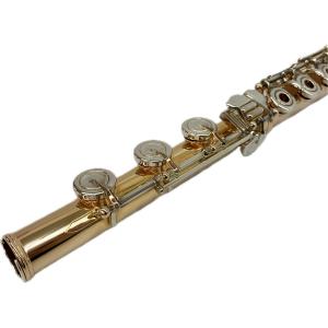 Pearl Flute F-8950RBES/IL(管楽器)の新品/中古販売 | 2027597