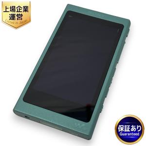 SONY ソニー ウォークマン 16GB NW-A45 グレイッシュブラック