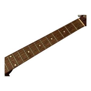 ギター Aria Dreadnought EST 1956 Aria Dreadnought EST 1956 AD-211 ギター
