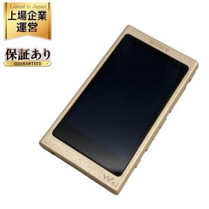 SONY ソニー ウォークマン 16GB NW-A45 グレイッシュブラック