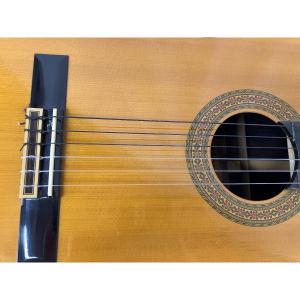 Morris M-20(ギター)の新品/中古販売 | 1405390 | ReRe[リリ]