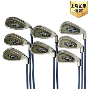 Callaway BIG BERTHA アイアン 4-10 セット FLEX R ゴルフクラブ キャディバッグ付き