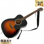 Aria Dreadnought アリア ドレッドノート アコースティックギター アコギ 弦楽器