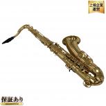 YANAGISAWA  T-900μ