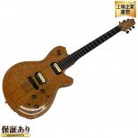 Godin  LGX