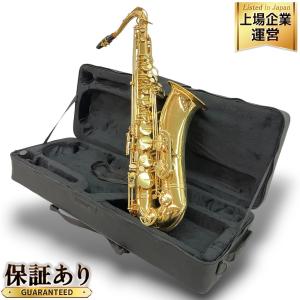 Mavis アルトサックス 彫刻あり 管楽器 セミハードケース メイビス Mavis アルトサックス 彫刻あり 管楽器 セミハードケース メイビス