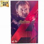 HOT TOYS  MMS289