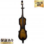 Aria Custom Shop   SWB-Beta(外観判断)