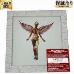 IN UTERO NIRVANA ニルヴァーナ 30周年記念スーパー デラックス エディション 完全生産限定盤 ポスター付 レコード