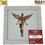 IN UTERO NIRVANA ニルヴァーナ 30周年記念スーパー デラックス エディション 完全生産限定盤 ポスター付 レコード