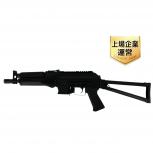 LCT   PP-19-01