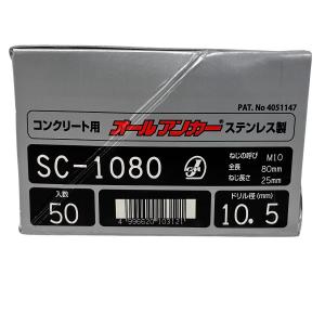 ステンレスオールアンカーSC1080 100本