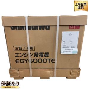 新ダイワ EGY6000TE-A 三相200V発電機 楽