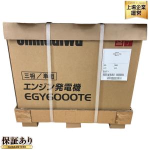 新ダイワ EGY6000TE-A 三相200V発電機 楽