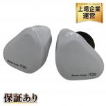 iBasso Audio IT00 ホワイト 有線 イヤホン カナル ダイナミック 音響機材 オーディオ