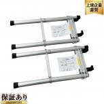 Bulls ブルズ BTRK125 トラック用 昇降ハシゴ 2点セット