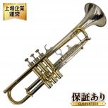 Selmer  INVICTA