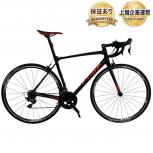 GIANT   TCR SLR2