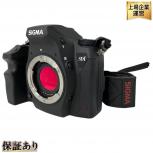 SIGMA   SD1 